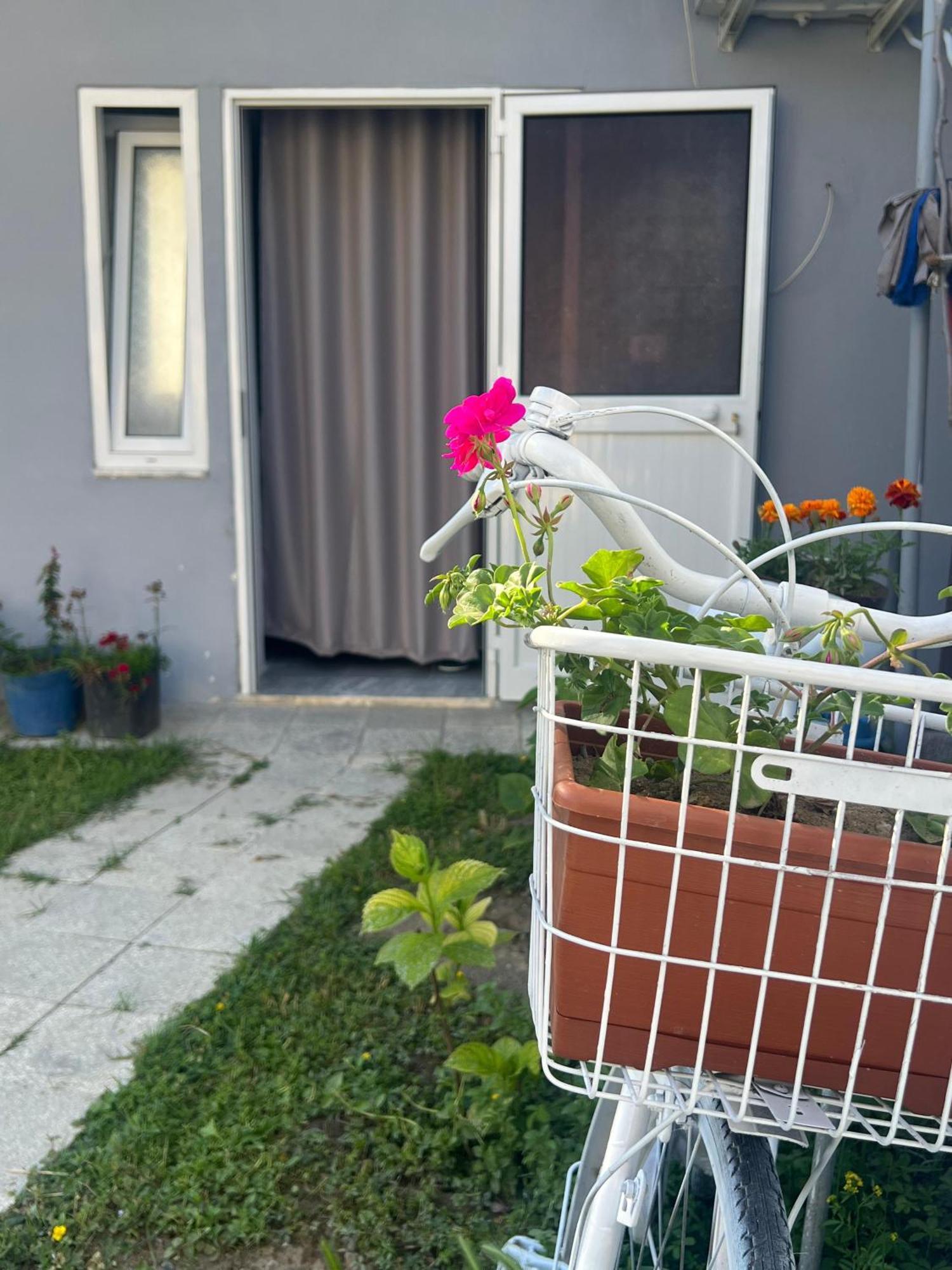 Happy Corner Guest House Shkodër Exteriör bild